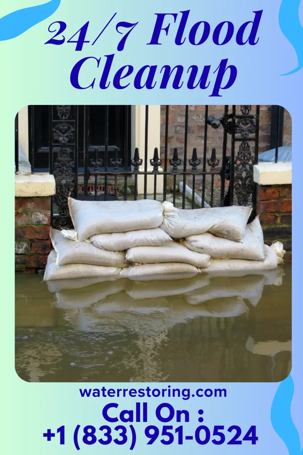 24/7 Flood Cleanup in Seagraves, TX