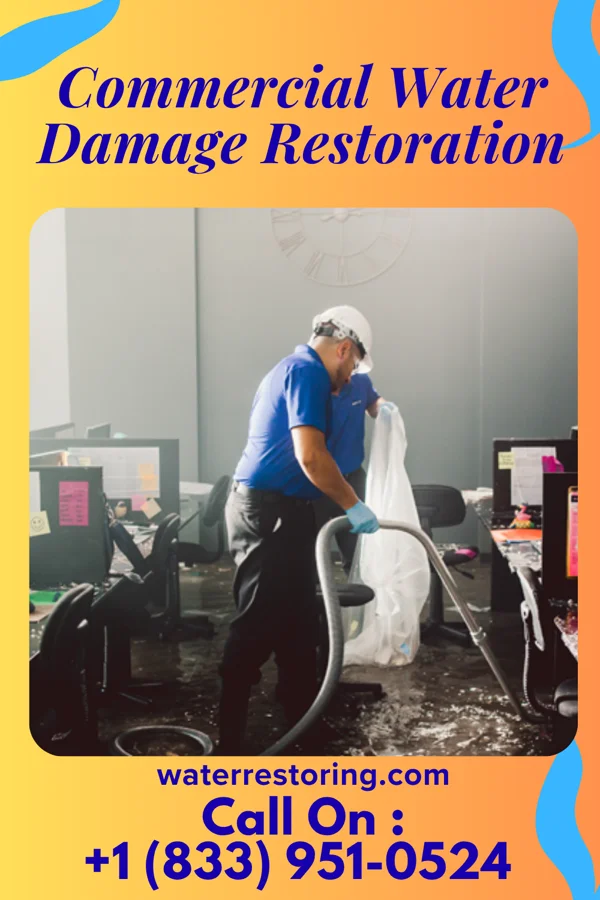 Commercial Water Damage Restoration in Seagraves, TX