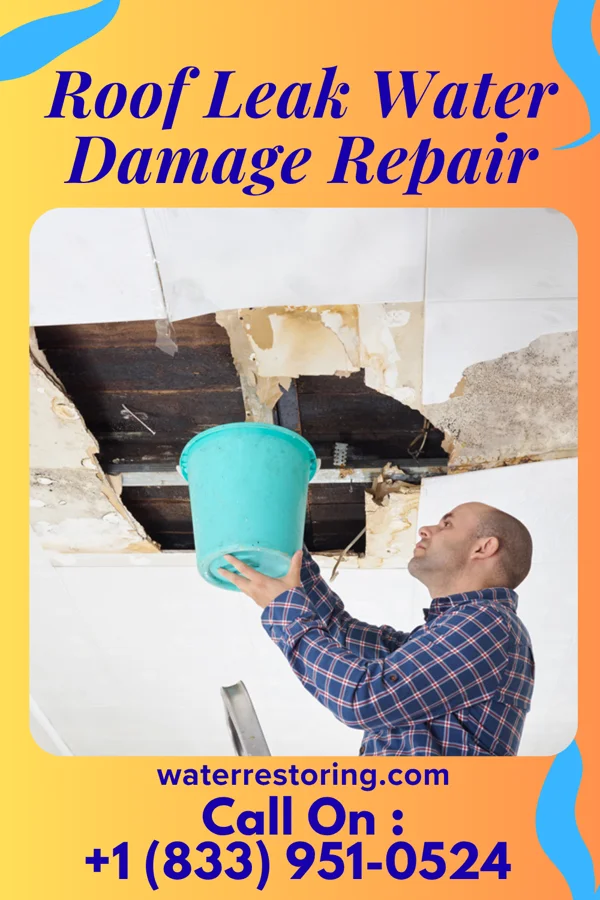 Roof Leak Water Damage Repair in Seagraves, TX