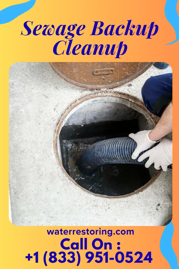 Sewage Backup Cleanup in Seagraves, TX